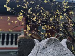 -禅宗三祖寺
