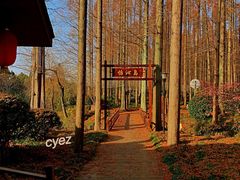 -上海怡沁园度假酒店