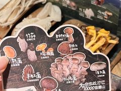 -芸山季·云南山珍菌火锅(人民广场来福士店)