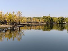-石家庄市植物园