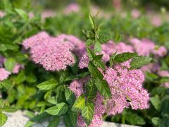 -野鸭湖国家湿地公园