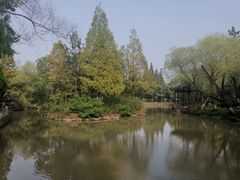 -瀛洲公园