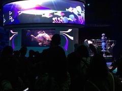 -海底巡游艇:尼莫和好友的海洋世界