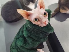 -极木²邸 人与宠物·互动社区