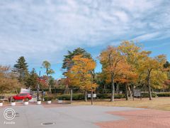 -金泽21世纪美术馆