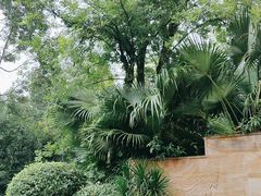 -海兰云天度假区温泉