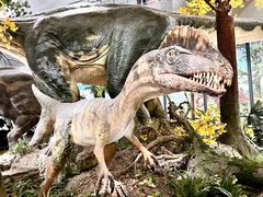 -湖南省地质博物馆