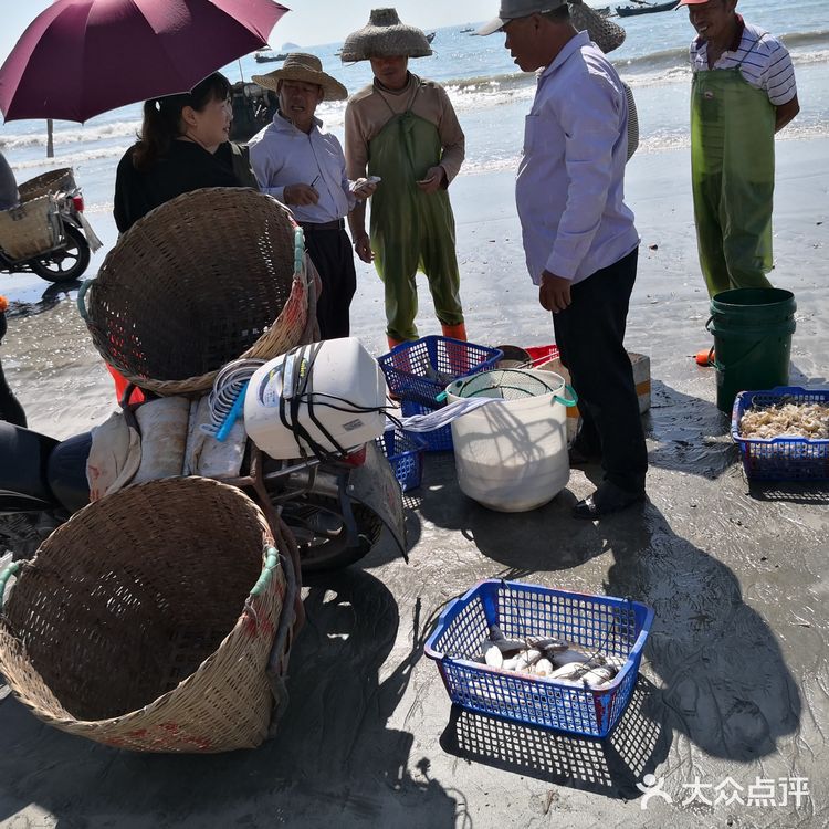 金厢赶海记