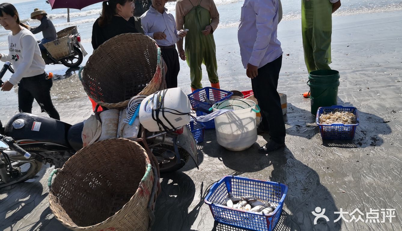 金厢赶海记