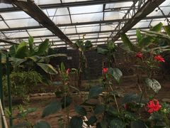 -万源龙顺度假庄园生态观光园