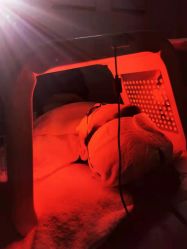 -美肤盾祛痘·问题肌头疗管理中心