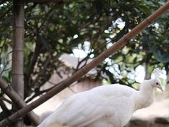 -宁波杭州湾国家湿地公园