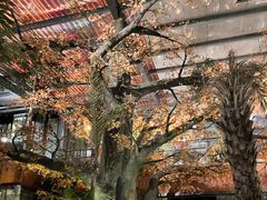 -云境生态园(红谷滩店)