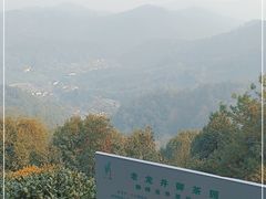 -十八棵（老龙井）御茶园(老龙井店)