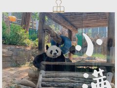 -大连森林动物园