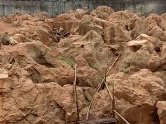 -昆明动物园