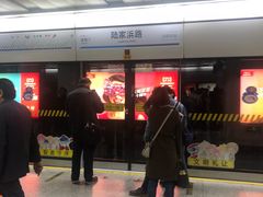 -陆家浜路(地铁站)