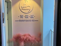 -喵宠乐园·撸猫互动·猫舍