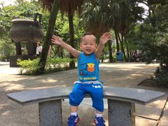 -宝莲禅寺