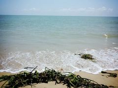 -海棠湾洲际-涛·海底餐厅·美人鱼·自助餐·海底隧道