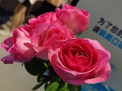 -盒马鲜生(曜一城店)