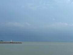 -野狸岛