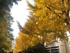 -江南大学(蠡湖校区)