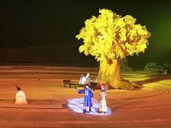 -鼎盛王朝康熙大典实景演出