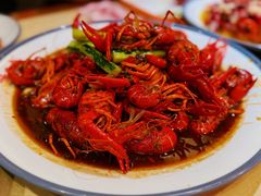 -杨氏青龙虾·羊蝎子(珠江路店)