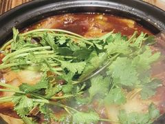 -东北烧烤·盱眙龙虾·巫山烤鱼·小海鲜