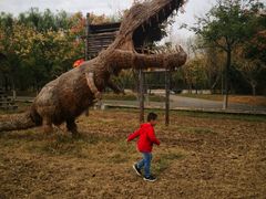 -兰陵国家农业公园