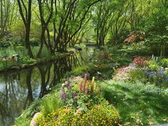 -上海共青森林公园