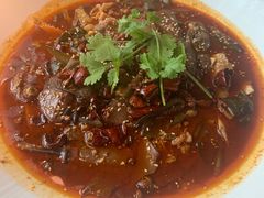 招牌毛血旺-映水芙蓉(上海万象城店)