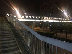 -老爆肚满五香烧牛羊肉