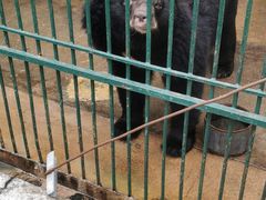 -揭东万竹园旅游景区