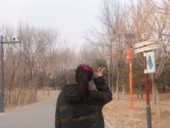 -东郊湿地公园