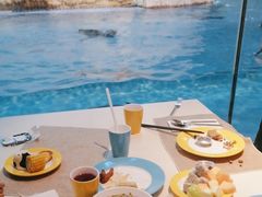 -帝企鹅自助餐厅•儿童岛•真企鹅(长隆企鹅酒店)