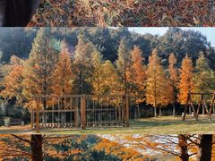 -南京市无想山景区