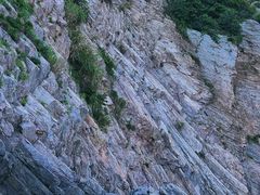 -花岙岛