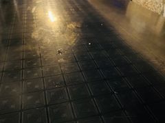-玫瑰园餐厅