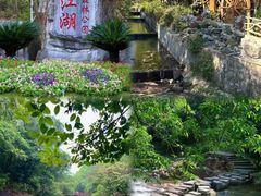 -广州白江湖森林公园