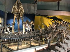 -湖南省地质博物馆