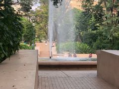 -九龙公园