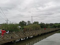 -桤木河湿地公园