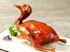-福照楼汽锅鸡·云南菜(护国路店)