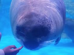 -上海海昌海洋公园