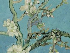 -信马画室 成人零基础到个人创作画室(亚运村店)
