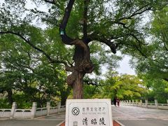 -北陵公园