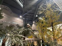 -湖南省地质博物馆