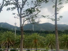 -白石龙音乐公园